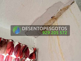 Detecção de Fugas de Água em Lisboa: Métodos e Importância